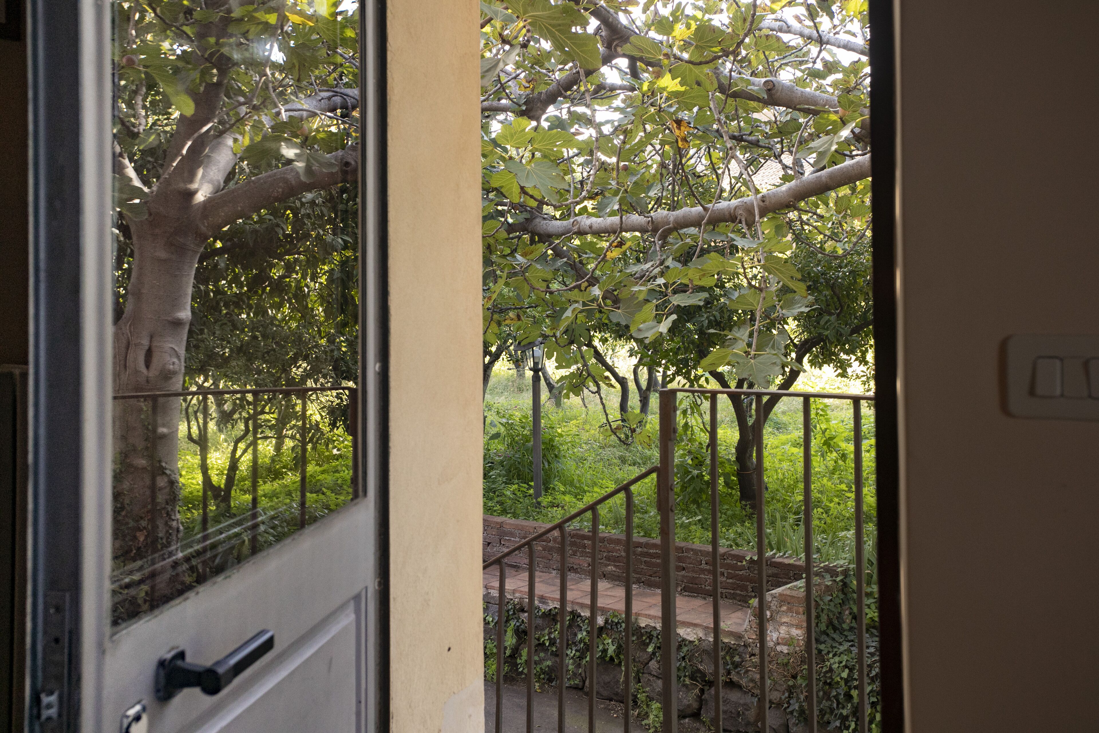 A view through a door with a metal railing, leading to a garden with trees and a brick pathway.