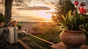 Un balcon donnant sur un coucher de soleil, une grande plante en pot et une chaise.