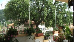 Un espace extérieur aménagé en terrasse, avec des plantes en pot, une chaise en plastique blanche et une table ronde.