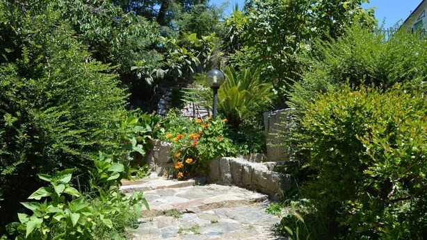 Un chemin de pierres serpente à travers un jardin luxuriant, où poussent différentes espèces de plantes, et longe un mur de pierres.