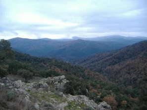 Un paysage montagneux caractérisé par un terrain rocheux et une forêt dense.