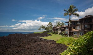 Property grounds - Avail Christmas & New Yrs, Ocean-View, sleeps 6. (Waikoloa)