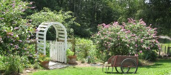 The Virginia Country Cottage: GREAT Location/Pet Friendly, 30 Acres,  close I81