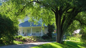 A house with a porch, surrounded by lush greenery and a large tree.