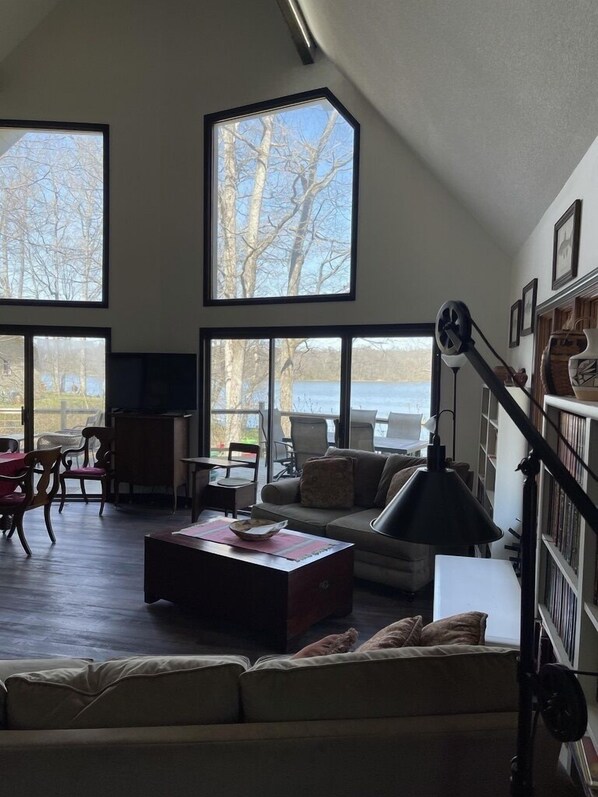 Smart TV, chimenea, reproductor de DVD y libros 