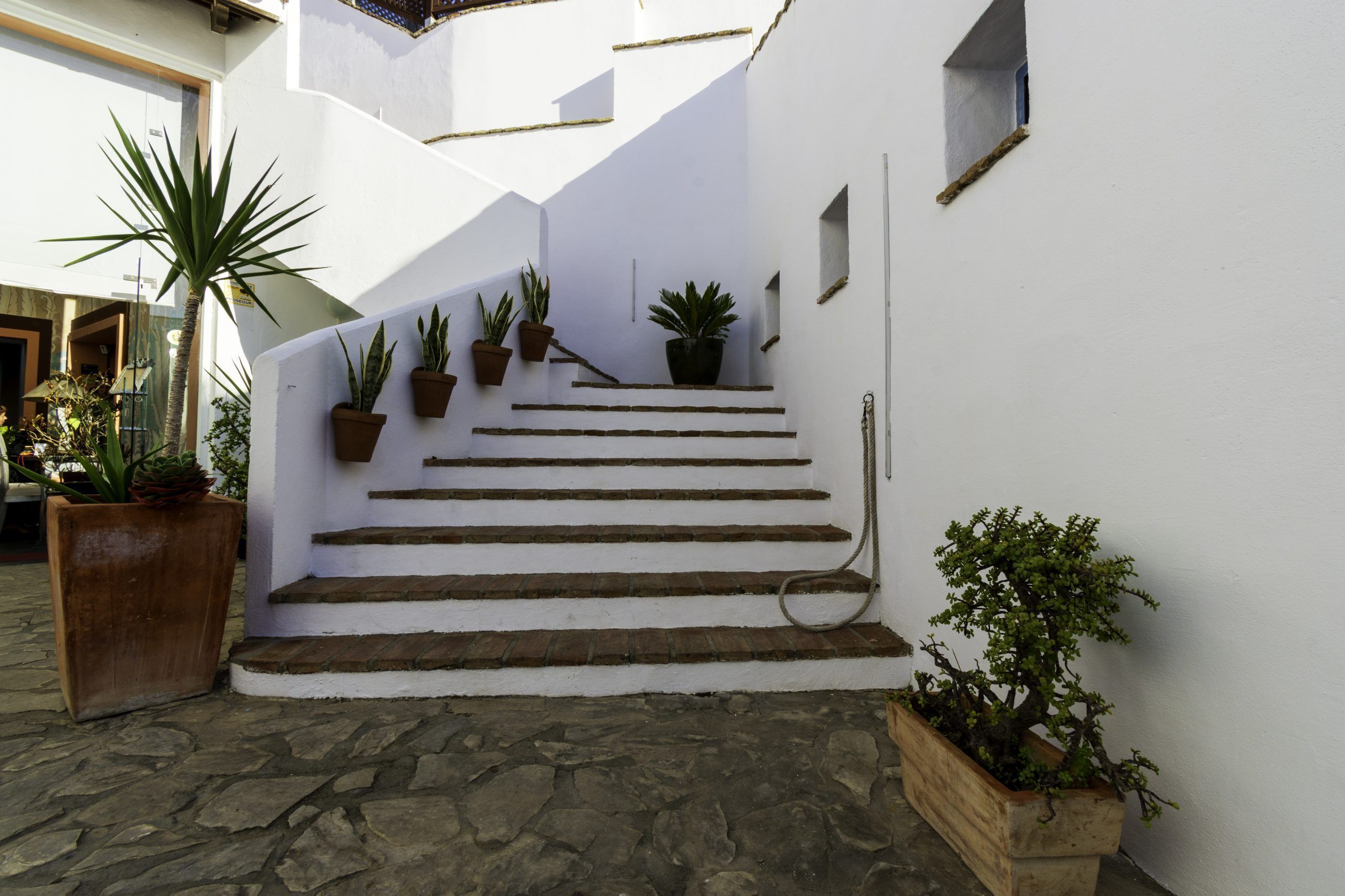 A white building with a stone staircase leading to a door, surrounded by potted plants.
