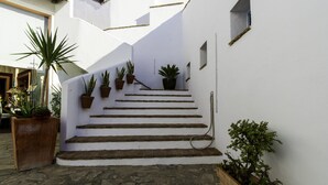 Un edificio blanco con una escalera de piedra que conduce a una puerta, rodeado de plantas en macetas.