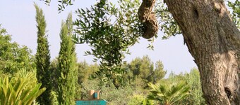 Tenuta Donna Caterina