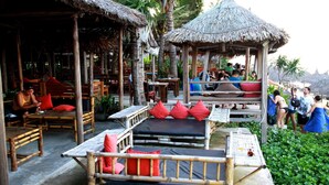 Property grounds - Milk Fruit Homestay (Da Nang)