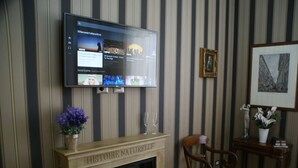A room with a television mounted on a striped wall, a fireplace with 'HISTOIRE NATURELLE' inscribed, a wooden chair, and a small table with a vase of flowers. - Landlord in Trastevere (Rome)