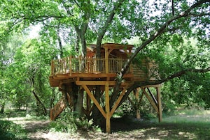 Vista desde la propiedad