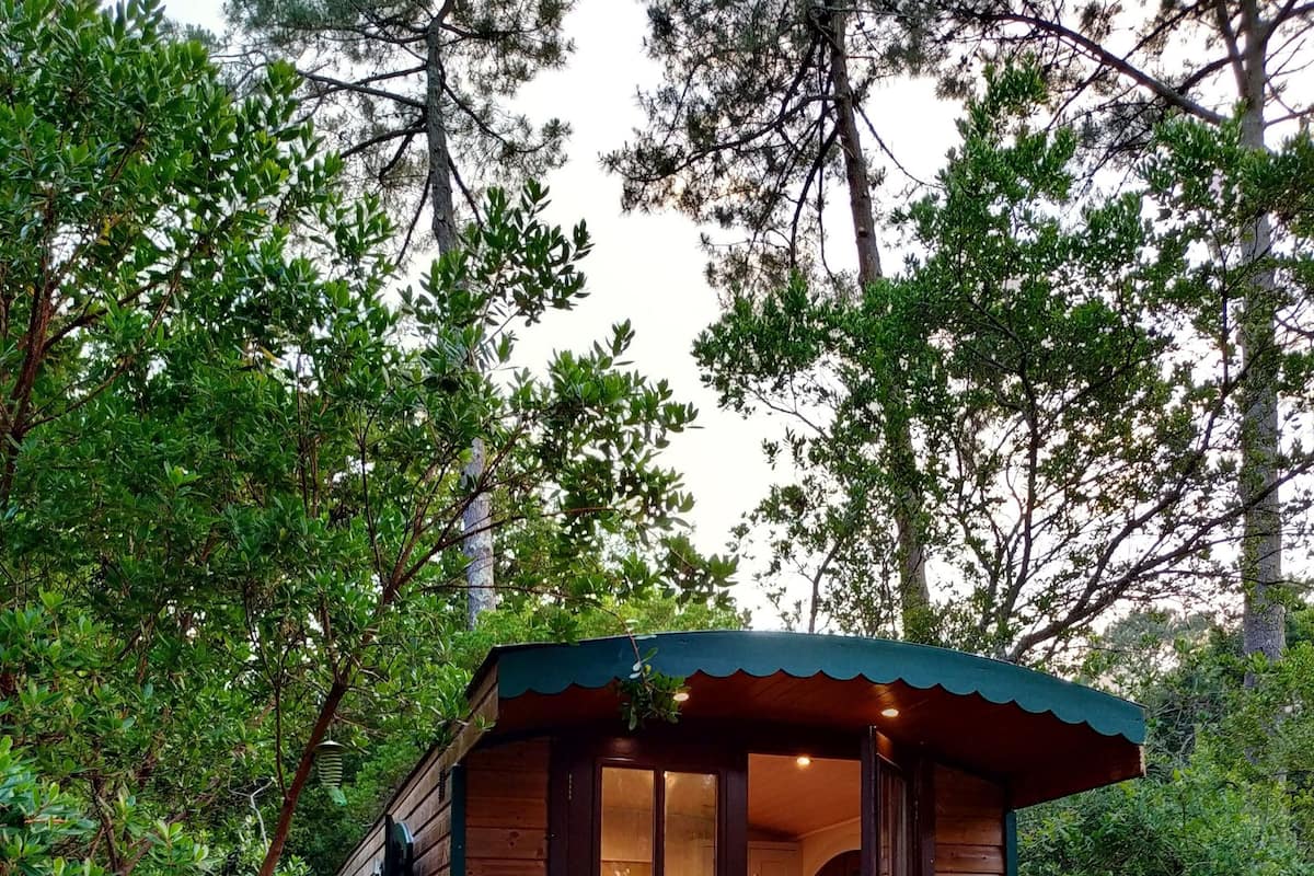 Maison mobile, salle de bain attenante (Roulotte) | Vue depuis lâhĂ©bergement