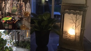 Un assortiment de produits de boulangerie, une plante en pot et une lanterne décorative.