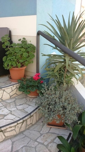 Exterior detail - Hotel Acquazzurra (Rimini)