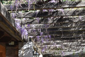 Terrace/patio - Yagmur Hotel (Fethiye)