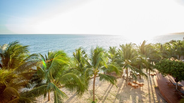 A beach with palm trees, a sandy area with wooden chairs, and a view of the ocean. - Pacific Beach Resort (Mui Ne)