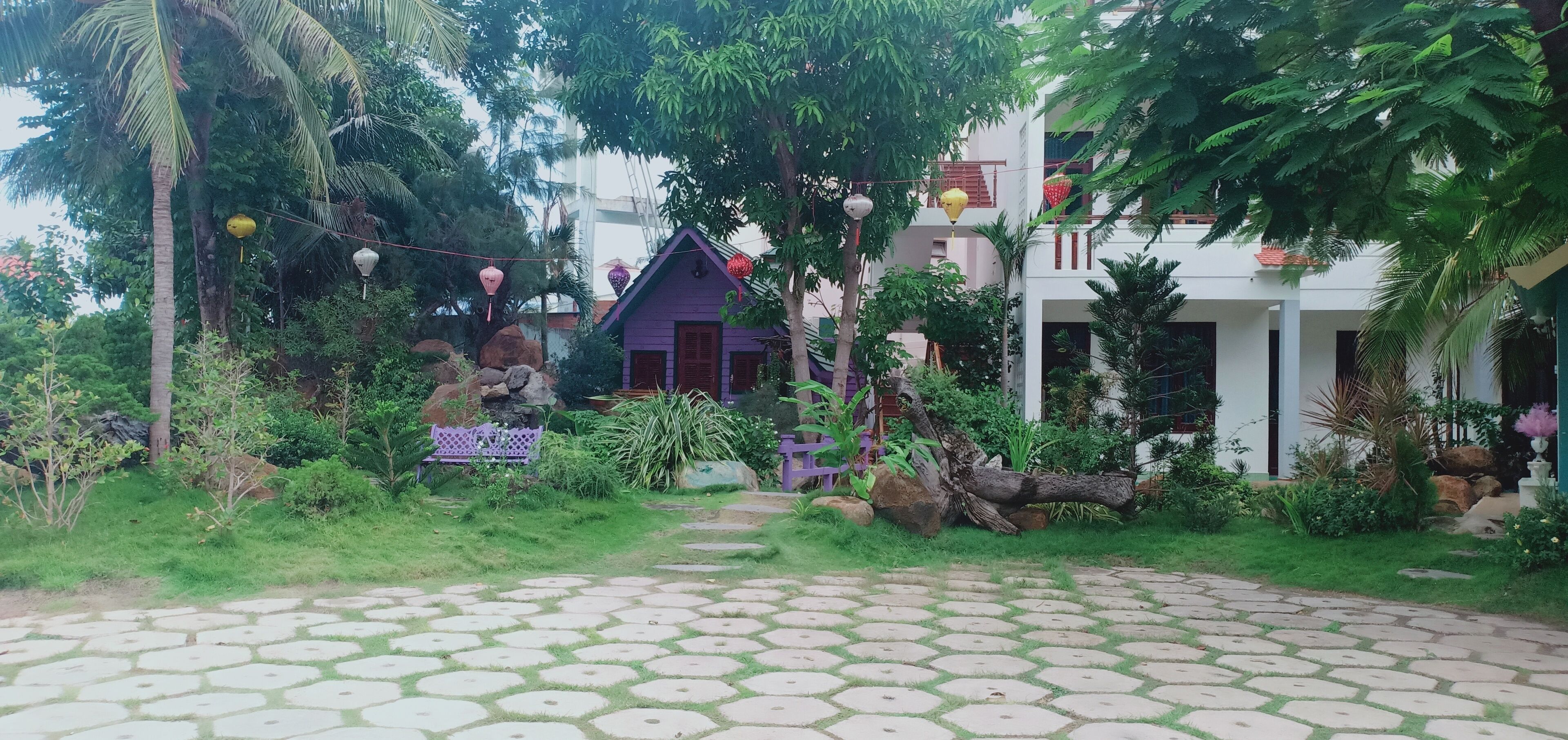 deluxe room, ocean view | front of property