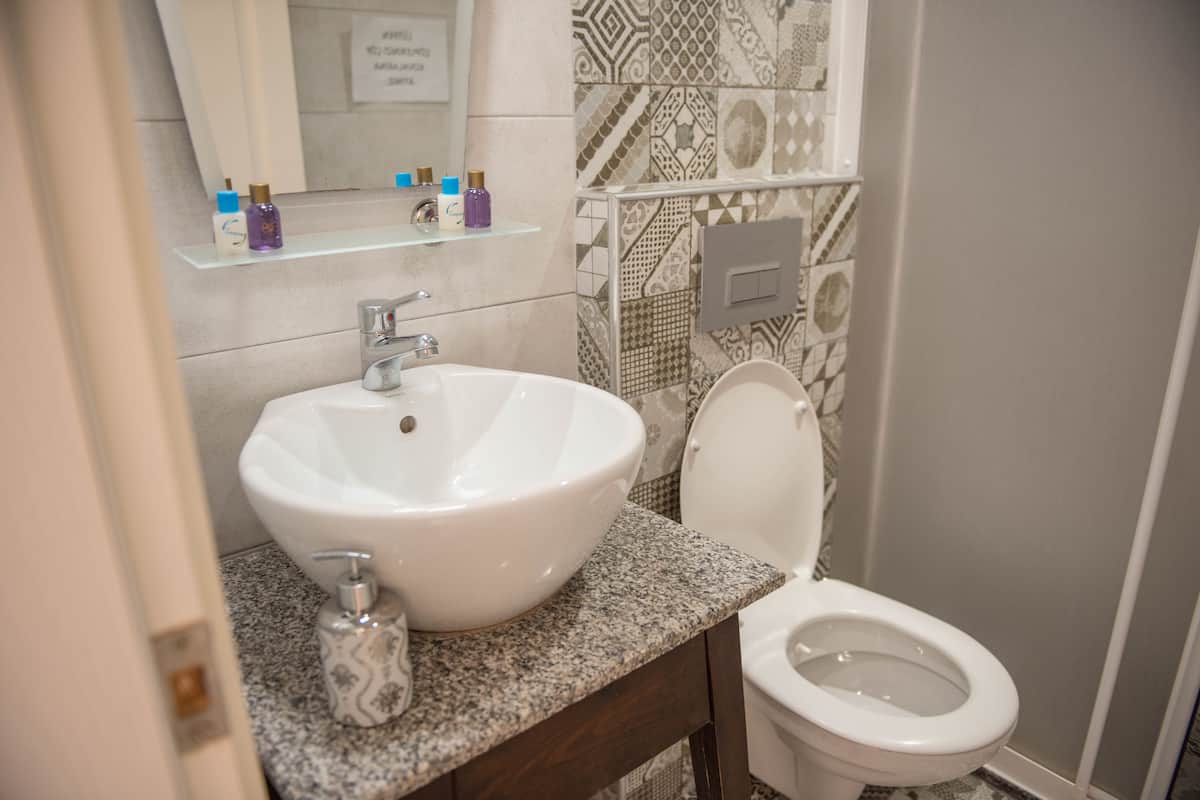 shower, free toiletries, hair dryer, slippers