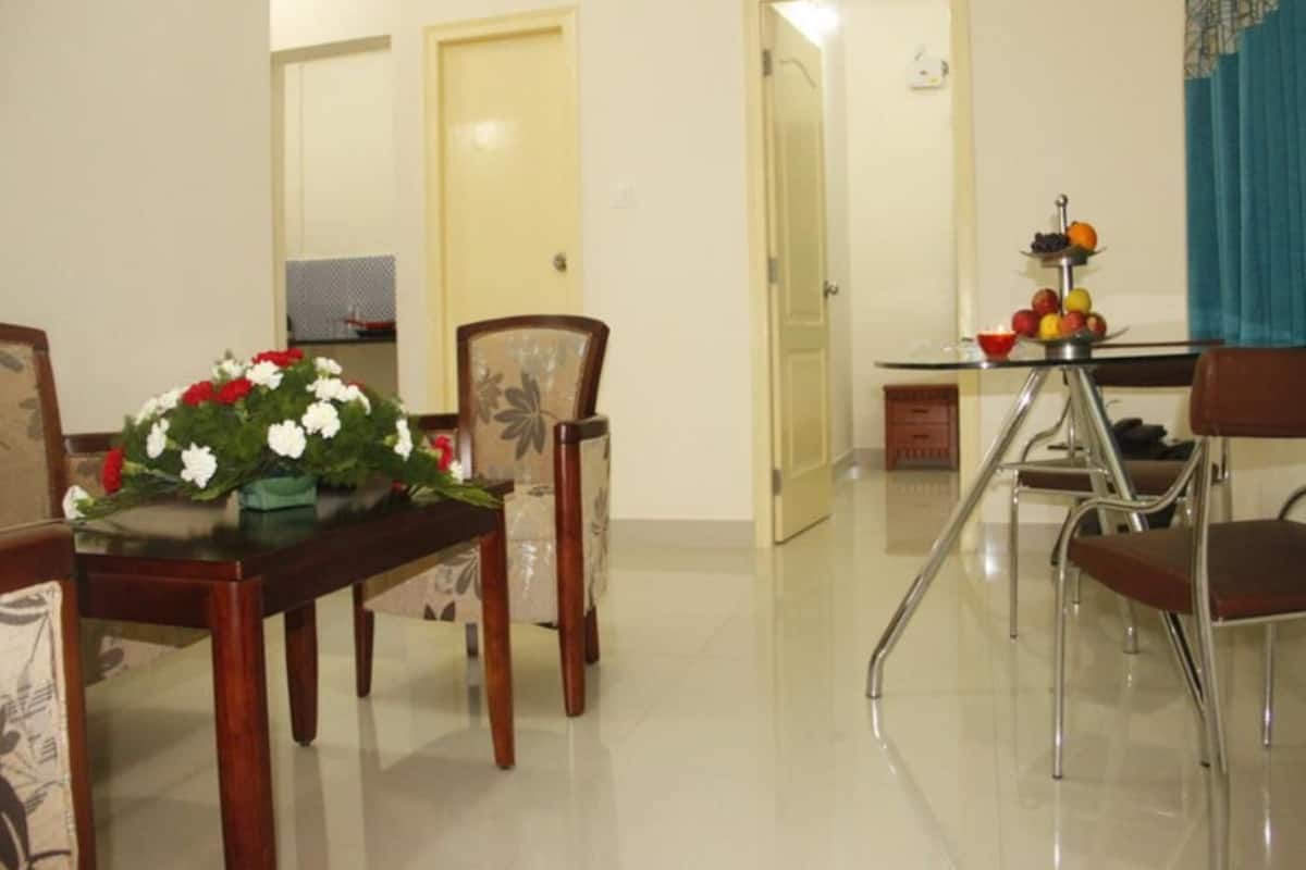 Deluxe Apartment, 2 Bedrooms, Non Smoking, City View | Living area | Flat-screen TV, fireplace