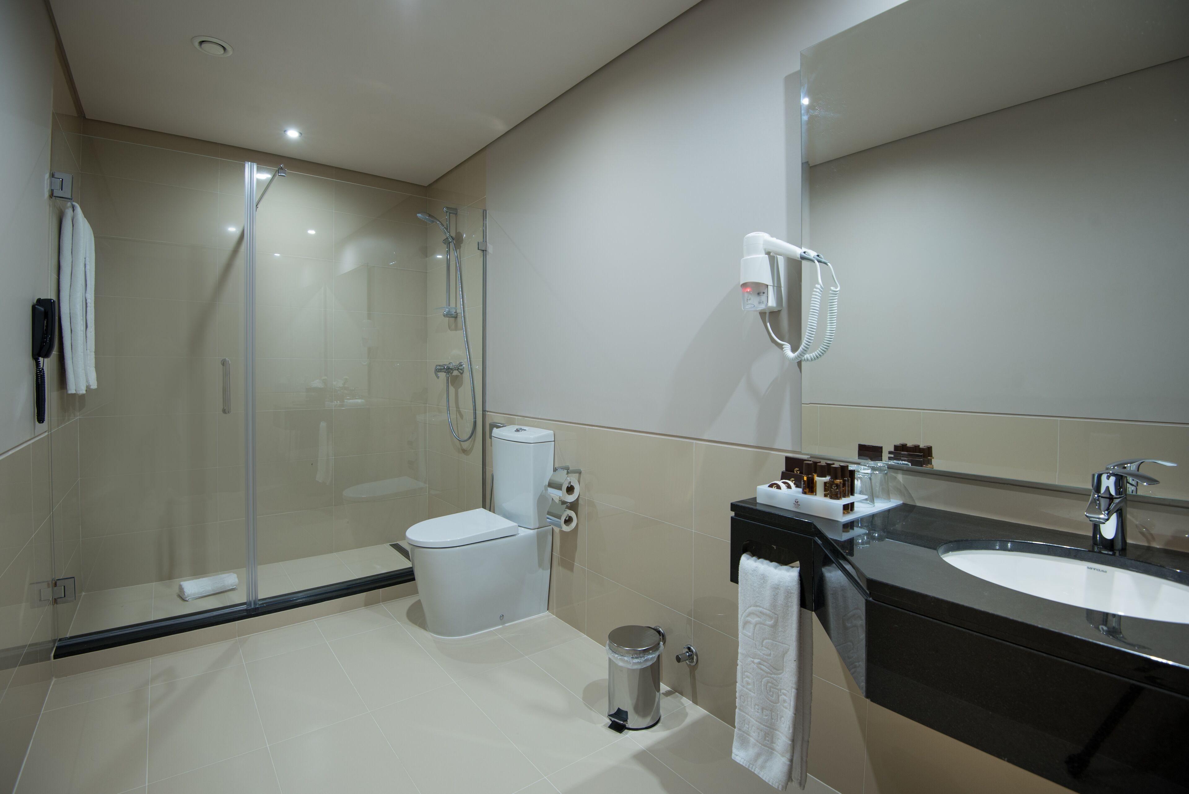 shower, free toiletries, hair dryer, towels