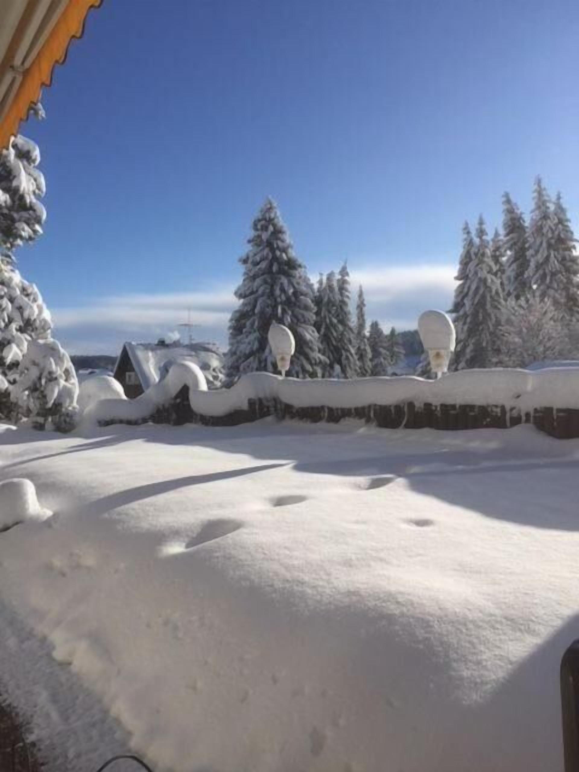 Un paysage enneigé, avec un ciel bleu dégagé, des arbres couverts de neige et un bâtiment doté d’un toit en pente.