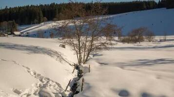 Schneebedeckte Landschaft mit einem teilweise verschneiten Bach, Bäumen und blauem Himmel.