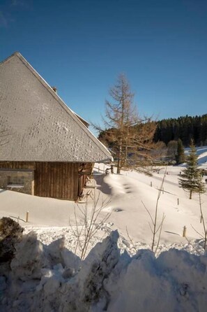 Exterior - Hotel Adlerschanze (Schoenwald)