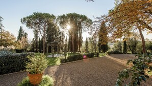 A garden with a gazebo, gravel path, and various trees.