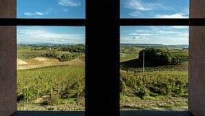 A view through a window of a vineyard landscape with rolling hills and distant houses.