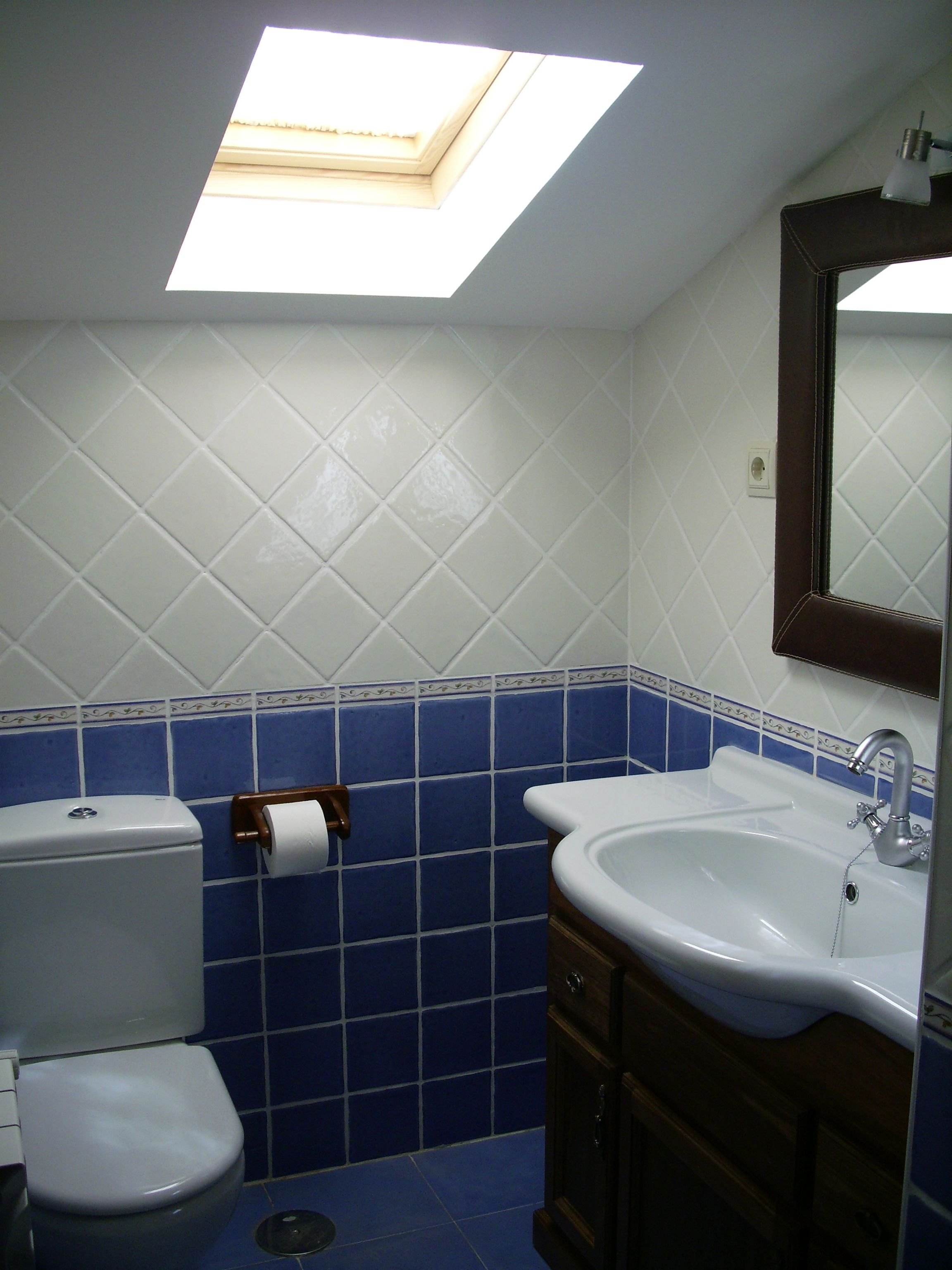 A bathroom with a skylight, a toilet, a sink, and a mirror.