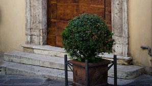 A large wooden door with a metal handle, flanked by stone columns, and a potted plant in front. - Dimora Dell'Erbe (Montepulciano)