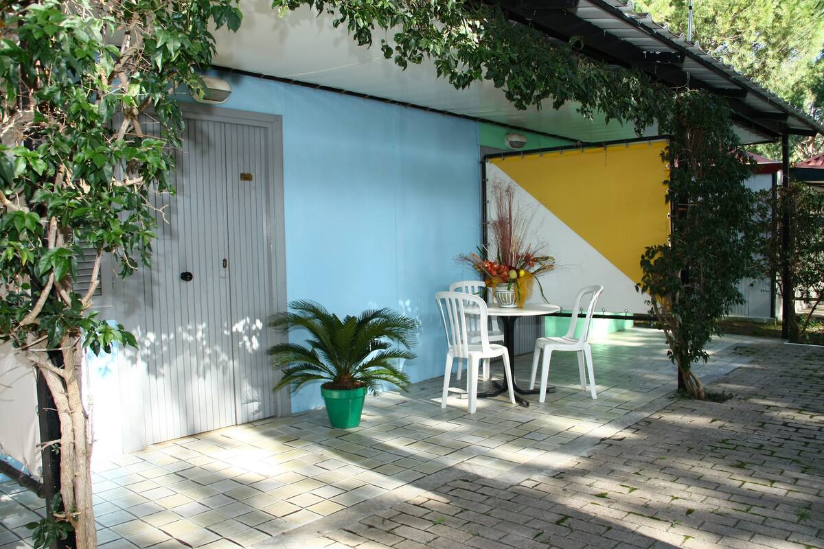 A patio area with a white door, a green potted plant, and a table with white chairs.