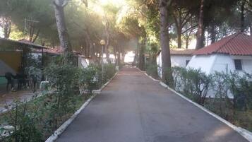 Un camino pavimentado bordeado por árboles y edificios pequeños con tejados rojos.