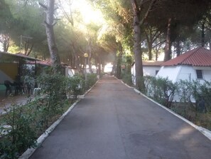 A paved pathway flanked by trees and small buildings with red roofs.