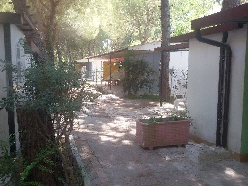 Un patio con un sendero, una jardinera y un edificio de fachada blanca y tubería negra.