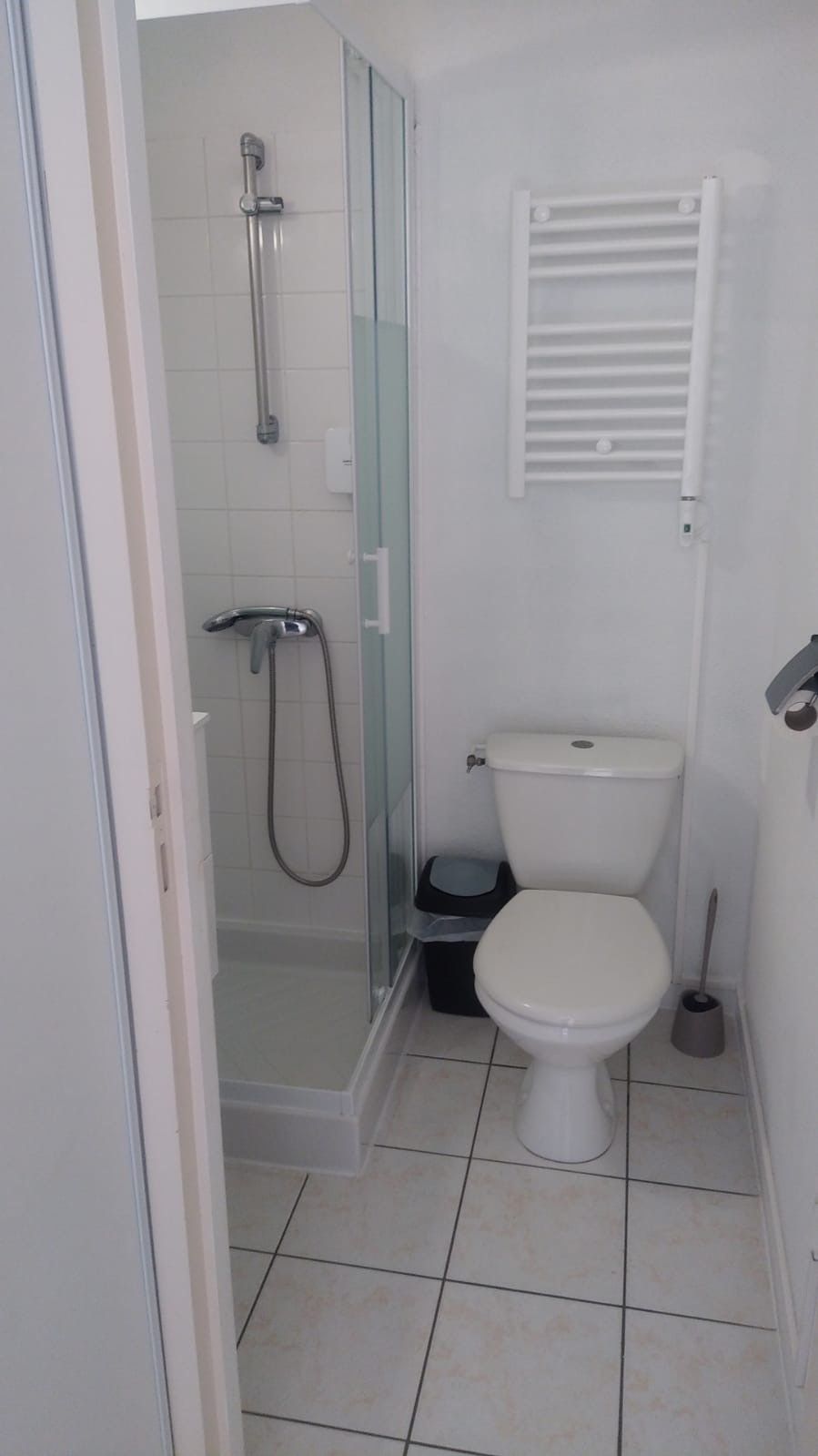 A bathroom with a shower, toilet, and a waste bin.