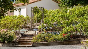 A garden with a wooden pergola, steps leading up to a house, and various plants and flowers. - Olydea Les Epesses (Les Epesses)
