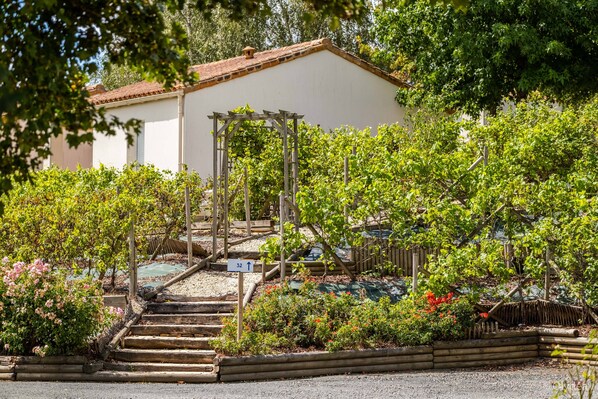 A garden with a wooden pergola, steps leading up to a house, and various plants and flowers. - Olydea Les Epesses (Les Epesses)