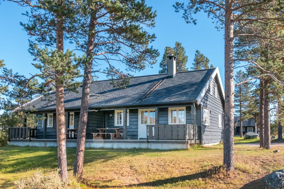A log cabin with a front porch, surrounded by tall pine trees.