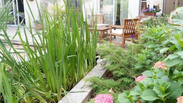 Jardin