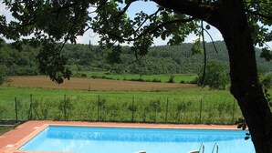 A rectangular swimming pool with two white lounge chairs and a metal ladder. - Villa Bardino (Torri del Benaco)