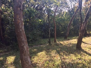 Property grounds - Coolwaters (Mutare)