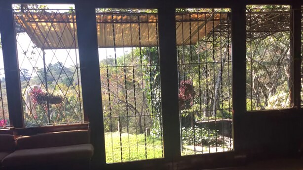 Une pièce dotée de grandes fenêtres avec des barreaux en métal, donnant sur un jardin avec des arbres et un banc.