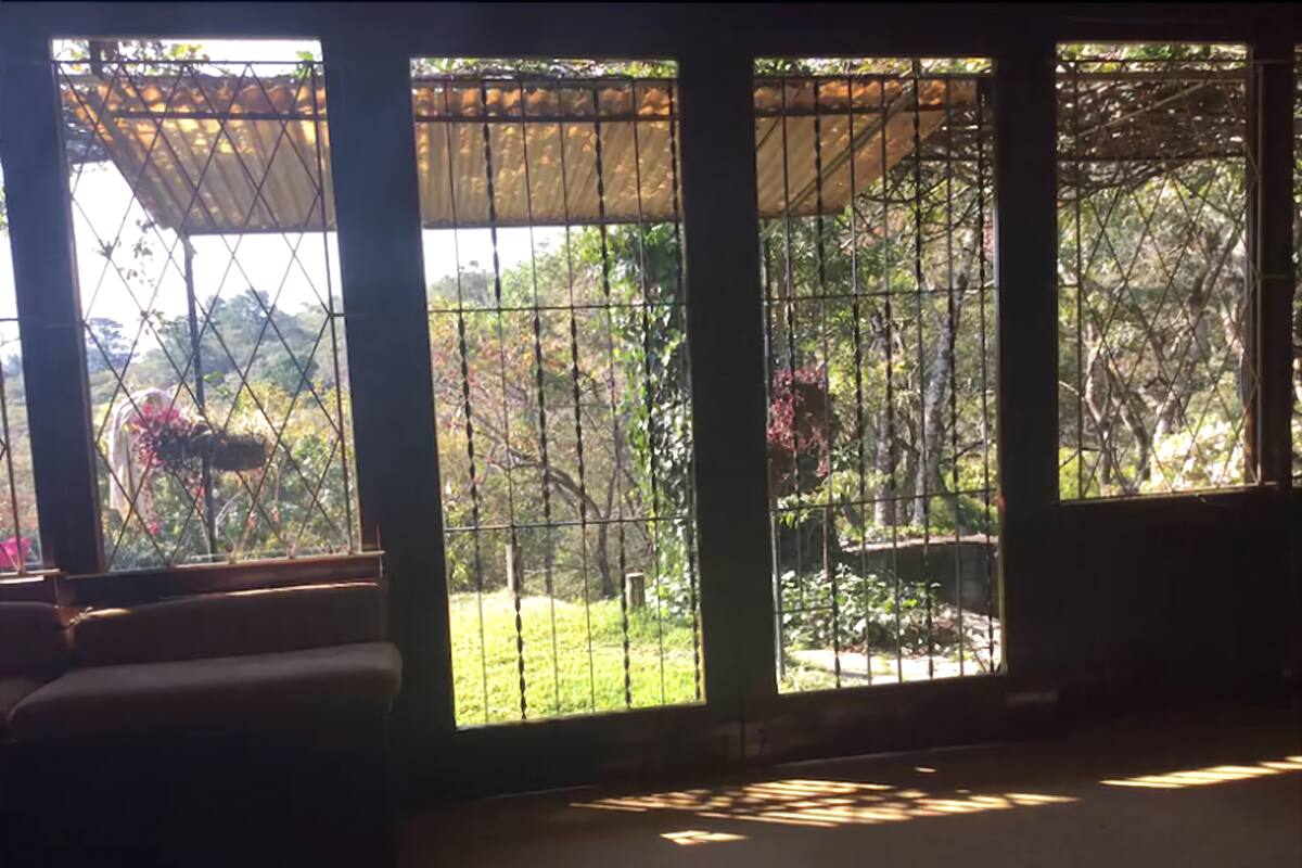 Ein Zimmer mit großen Fenstern und Metallgitter, mit Blick auf einen Garten mit Bäumen und einer Bank.