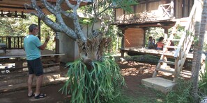 A man taking a photo under a wooden structure with a tree in the foreground. - ESA di Kubu Homestay (Sawan)