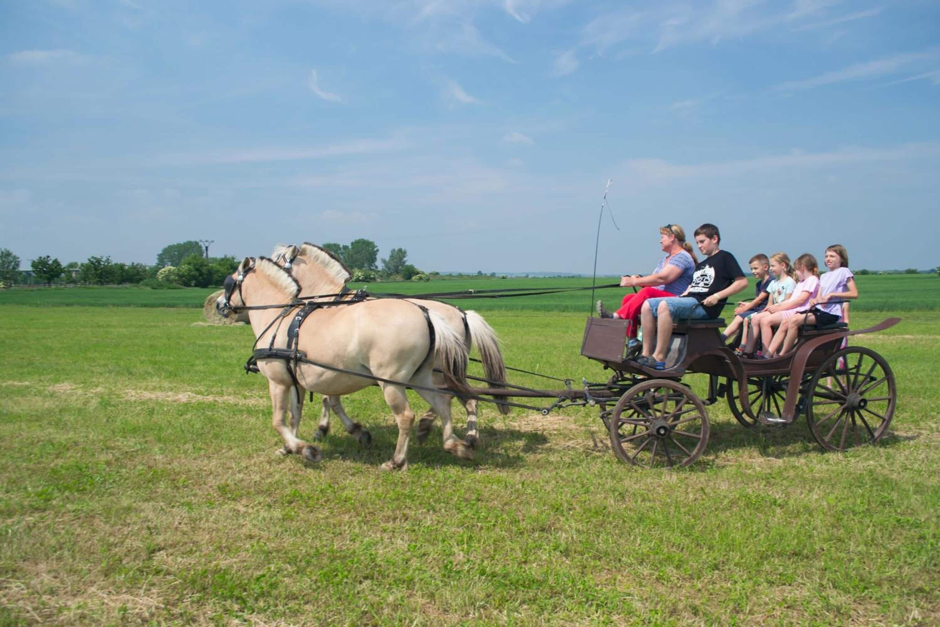 Foto - ZOOPARK Zelčín