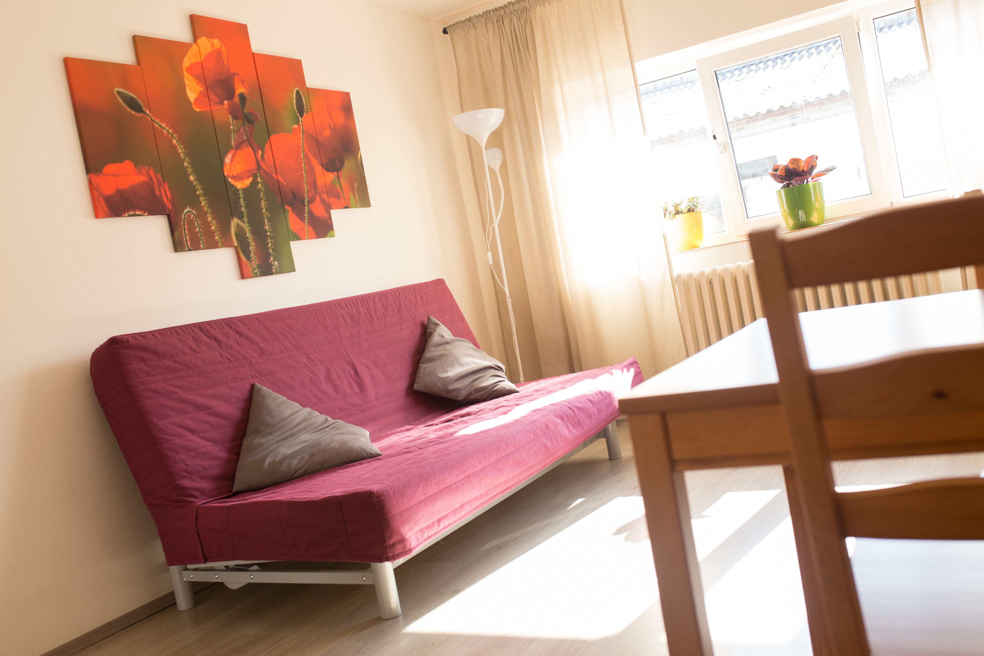 Foto - ZOOPARK Zelčín