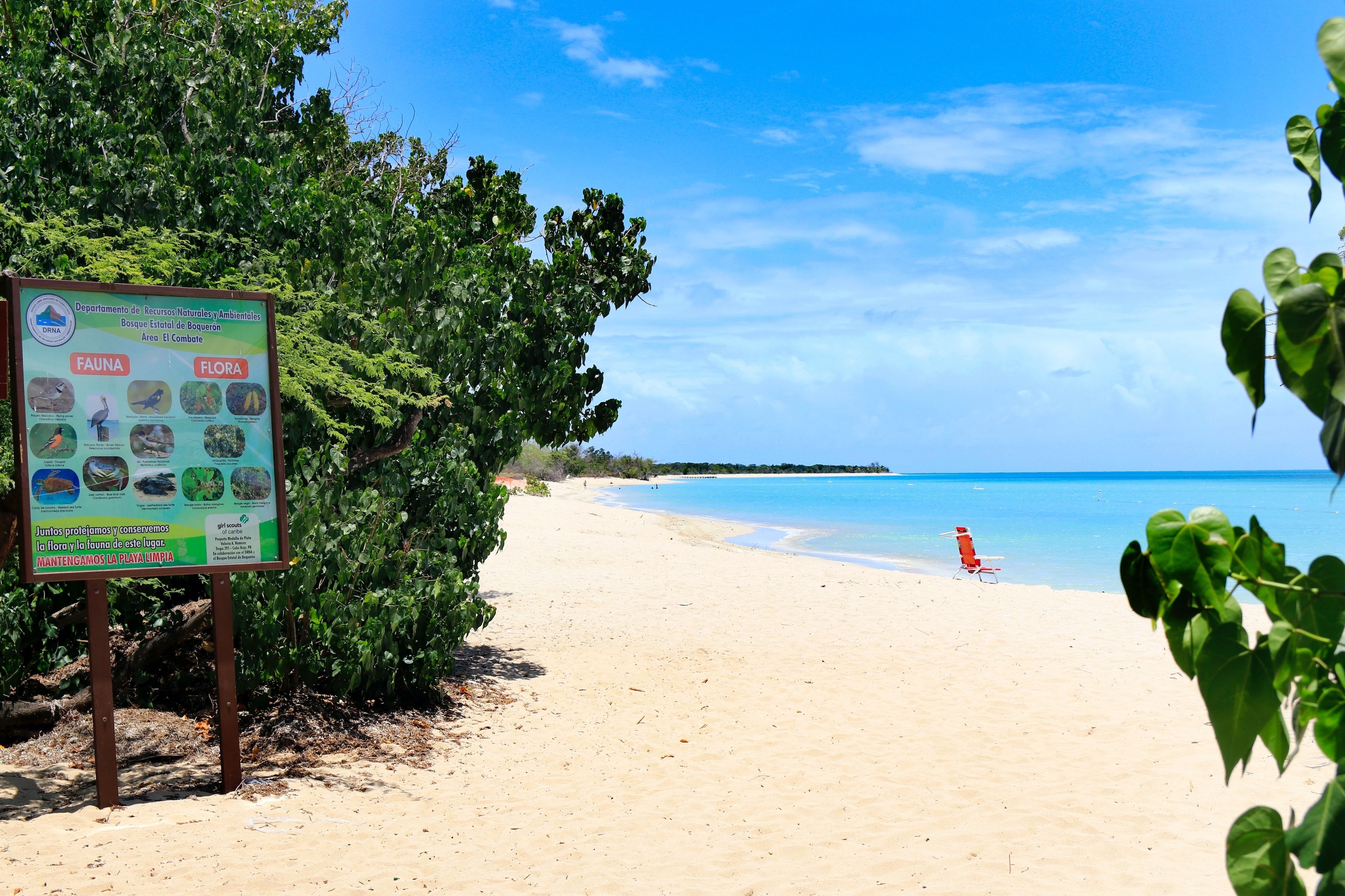 Uma praia com uma placa informativa sobre a flora e fauna locais.