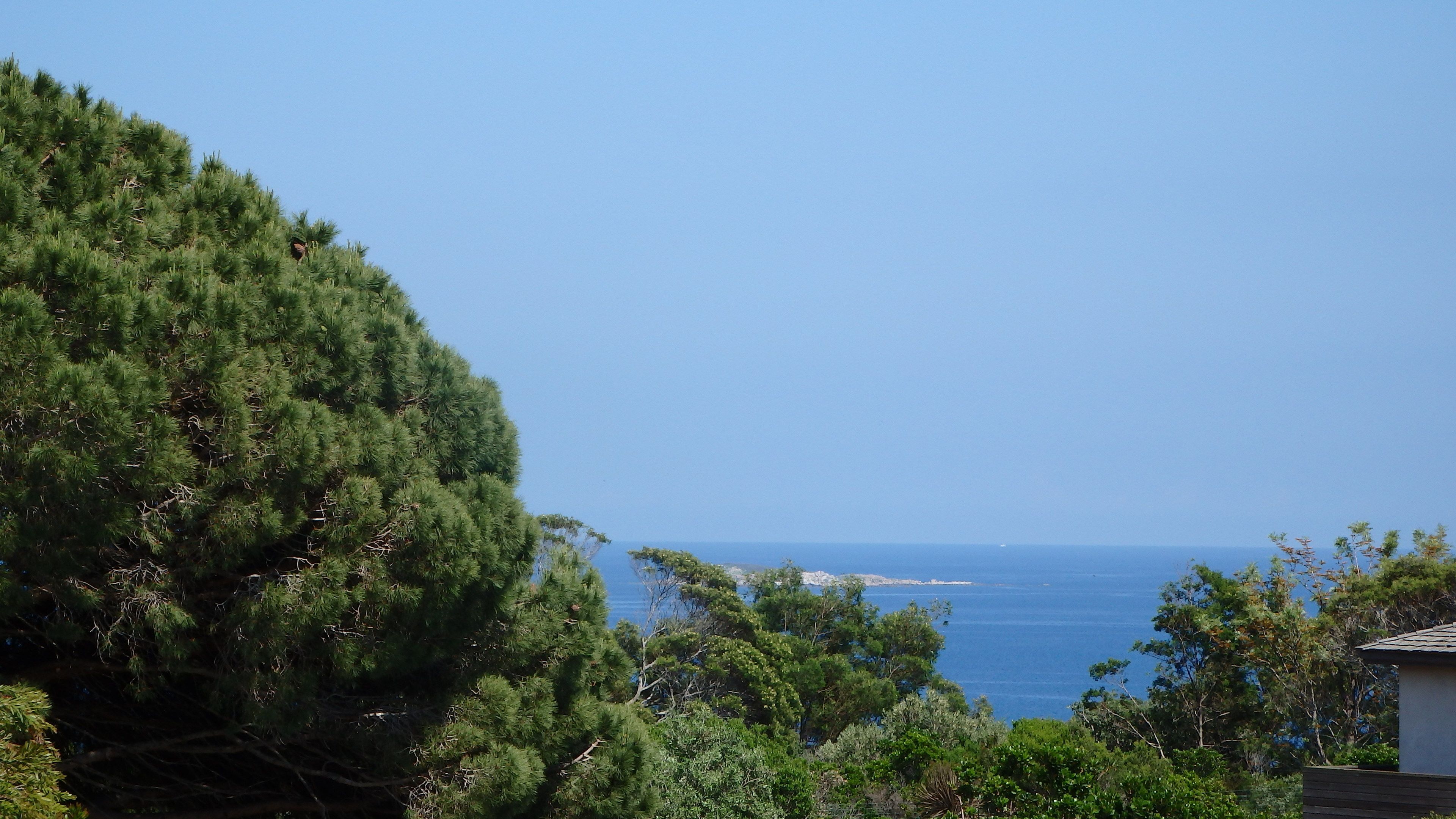 Vistes costaneres amb arbres verds i un cel blau clar.