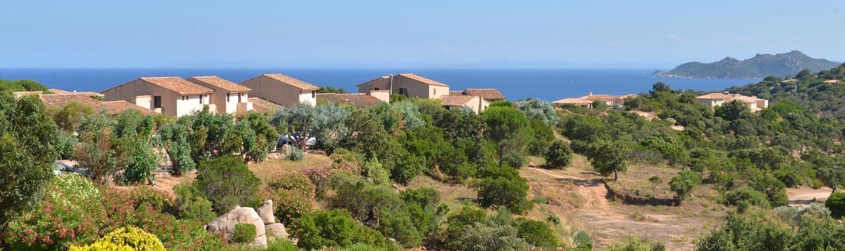 A coastal residential area with houses and lush greenery.